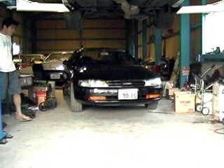 ���Ɏʂ��Ă���̂��T�v���I�i�΁j