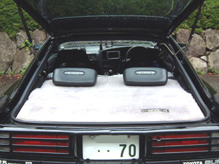 trunk
