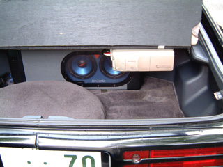 trunk