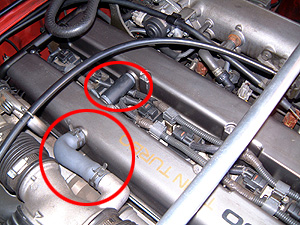 �������i