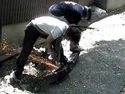 ����Ă��܂��B