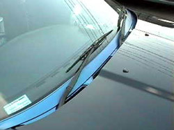 ���C�p�[�����h��